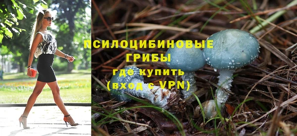 кокс Липки