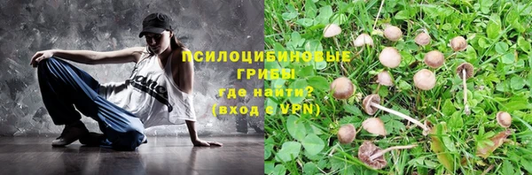 прущая мука Лиски