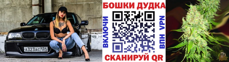 Конопля сатива  купить наркоту  Чекалин 